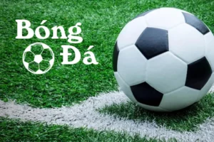 Luật Bóng Trong Cuộc Và Bóng Ngoài Cuộc Trong Thi Đấu Bóng Đá