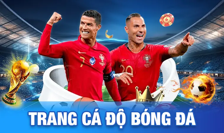 Tổng Hợp Top Trang Cá Độ Bóng Đá Uy Tín 2026 Và Tiêu Chí Lựa Chọn