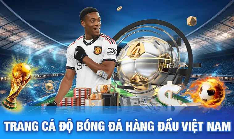 Tổng Hợp Top Trang Cá Độ Bóng Đá Uy Tín 2026 Và Tiêu Chí Lựa Chọn